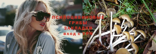 Альфа ПВП Алексин